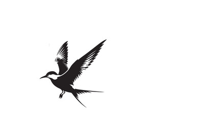Marlin Bird vector art and illustration