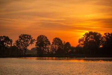 Letni wschód słońca nad stawem. © mycatherina