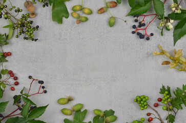 Forest frame with  twigs, berries, acorns, green leaves with empty space to fill with content in the middle. Top view, grey background. 