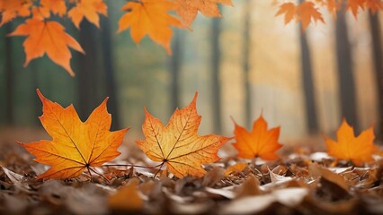 Autumn Maple Leaves on Forest Floor