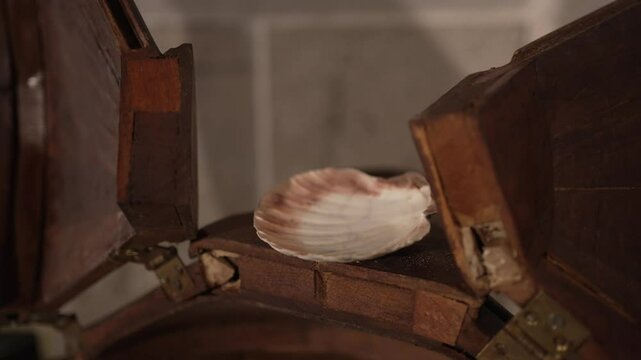 rustic scallop shell resting inside an ornate wooden box with hinged lids, capturing a serene, spiritual moment