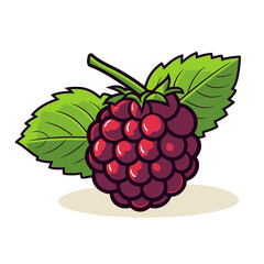 Raspberries image. Cute image of an isolated raspberries. Vector illustration.