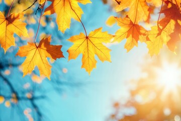 Maple leaves in autumn sunny day , ai