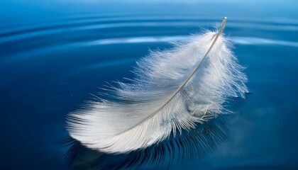 A white fluffy feather floats slowly on the water on a blue background.