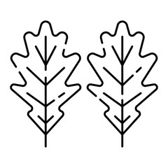 Obraz premium oak leaf