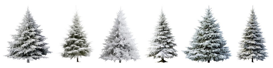 Obraz premium Christmas tree png cut out element set
