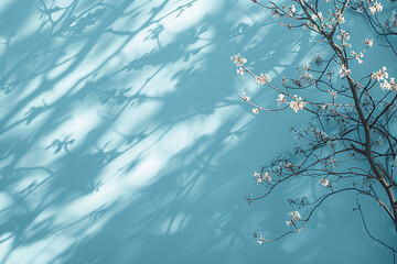 A serene, minimalist light blue background with delicate shadows cast by tree branches, creating an ideal setting for product display 