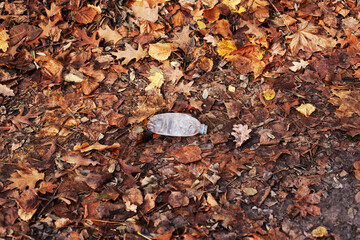 Empty plastic bottle lies among the leaves in park or forest. Ecological problem of pollution of nature