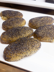 Honey baklava with poppy seeds on a white plate. Traditional Turkish food concept. Sweet pastry. A very sweet dessert. Vertical orientation.