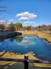 Obraz premium Beautiful Pond