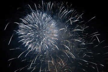 fireworks in the night sky