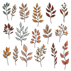 Set of chalk sketches of autumn leaves. The hand drawn, doodle illustrations capture the essence of fall with a fun, creative touch, ideal for seasonal designs. Not AI.
