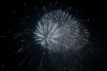 Obraz premium fireworks in the night sky
