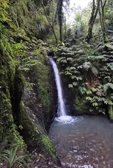 waterfall in the woods