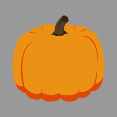 pumpkin halloween