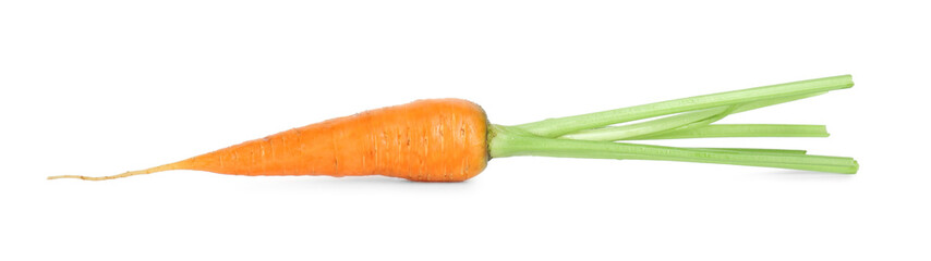 One fresh ripe carrot isolated on white