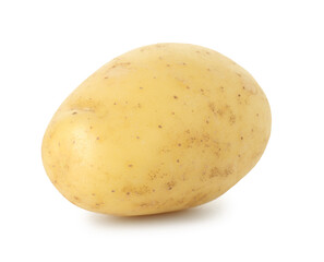 One fresh young potato isolated on white