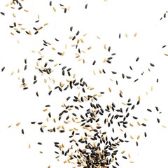 Obraz premium Black Husk rice seed grain fly in air