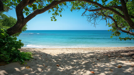 Serene beach view framed by tree branches with turquoise water and sandy shore