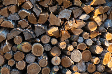 stack of firewood