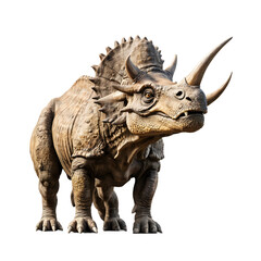 Obraz premium Triceratops isolated on transparent background
