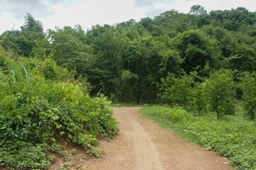 Natural scenery and nature tourism