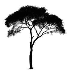 Eco. Friendly Architec. Isolated on a Transparent Background. Cutout PNG.