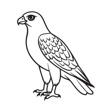 recommend clip art: Harrier bird line art vector silhouette with white Background