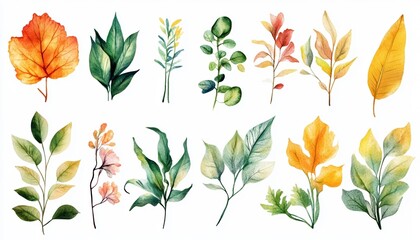 Obraz premium Botanical Beauty Sticker Set Featuring Delicate Floral Illustrations