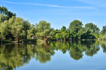 Beautiful river backwater, known as Sodros in Novi Sad, Serbia, in the summer. Green and lush vegetation with reflection on the water surface. Scene of unspoiled nature.