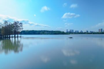 City park lake scenery with blue sky and white clouds