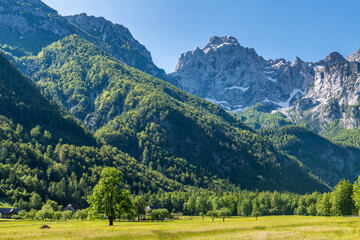 Logar Valley in Slovenia Alpine landscape at summer
