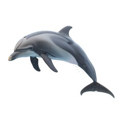 Fototapeta premium dolphin isolated on white background