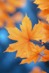 Orange maple leaves for autumn social media vertical background campaign