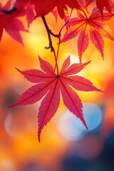 Red maple leaves for autumn social media vertical background campaign