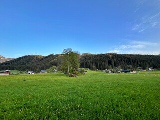 Austria Alps Serenity