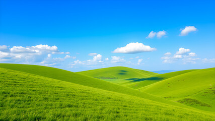 Obraz premium Picturesque winding hills over green grass fields in morning at dawn against blue sky with clouds. Natural panoramic spring summer. Inspirational happy nature background, good mood, zen. Generative AI