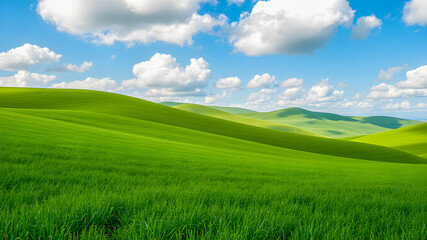 Fototapeta premium Picturesque winding hills over green grass fields in morning at dawn against blue sky with clouds. Natural panoramic spring summer. Inspirational happy nature background, good mood, zen. Generative AI
