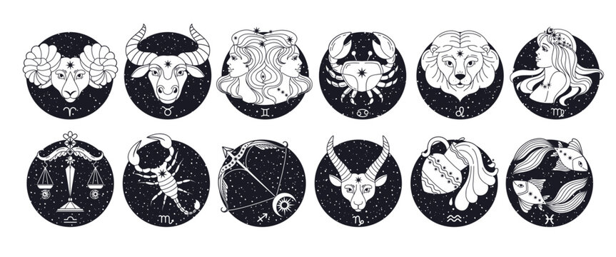 Zodiac signs. Astrology horoscope symbols. Hand drawn mystical twelve constellation with stars. Astrological spiritual elements. Horoscope calendar images. Vector set