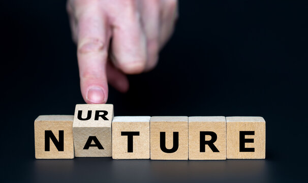 Wooden cubes form the words nature and nurture.  Nature refers to how genetics influence an individual's personality, whereas nurture refers to how their environment impacts their development.