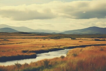 Fototapeta premium River vegetation landscape grassland.