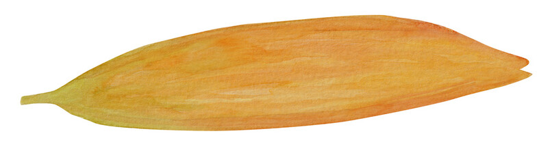 
Watercolor flower Orange lily on isolated background. Hand drawn vibrant Illustration for product design, print, wallpapers, wedding or invitation cards 