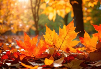 vibrant leaves illuminated brilliant sunlight creating stunning natural display lush greenery, glowing, nature, illumination, plants, colors, flora, foliage