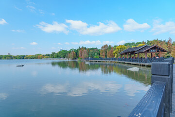 Obraz premium Guangzhou Haizhu Lake Park Lakes and Groves of Larch Trees