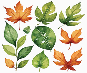 Obraz premium autumn leaves collection