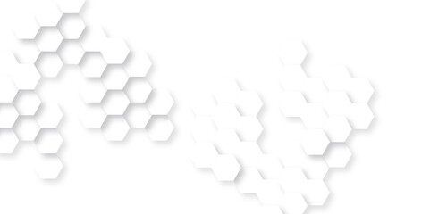Background with white lines hexagon. Abstract vector polygonal pattern background with hexagon. White hexagon light and shadow abstract background. Futuristic abstract honeycomb technology background.