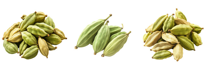 set of A green Cardamom fruits isolated on a transparent background