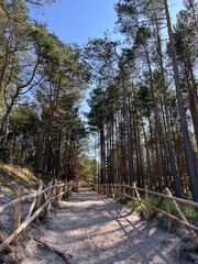 Droga na plaże przez wydmy © werka