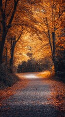 Obraz premium A path in the middle of a forest with lots of leaves on the ground