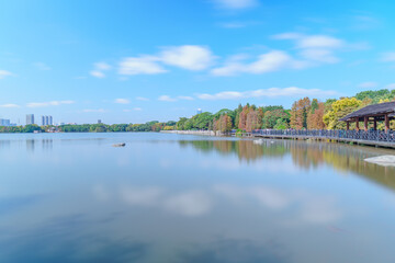 Obraz premium Guangzhou Haizhu Lake Park Lakes and Groves of Larch Trees